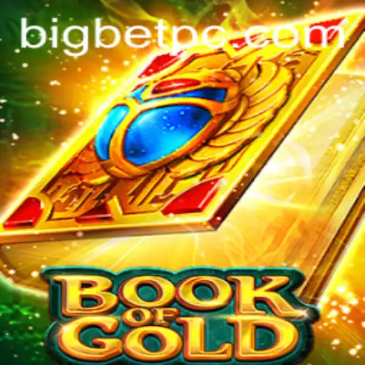 Exploring the Thrilling World of Book of Gold: Big Bet Edition